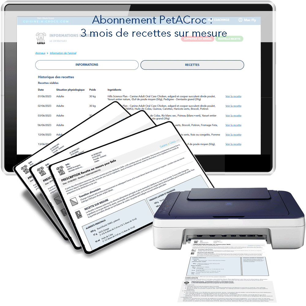 Abonnement Petacroc, 3 mois de recettes